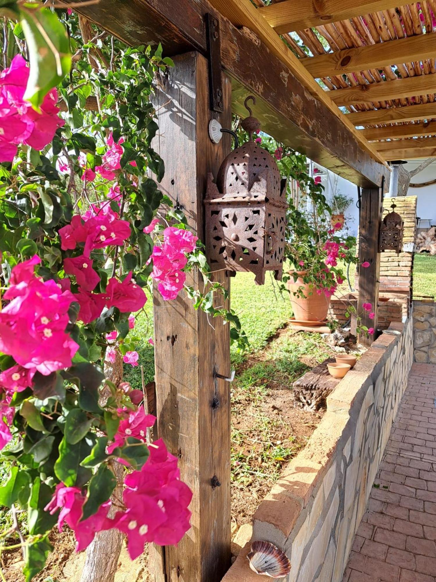 La Luciernaga Guest House Chiclana de la Frontera Exterior photo
