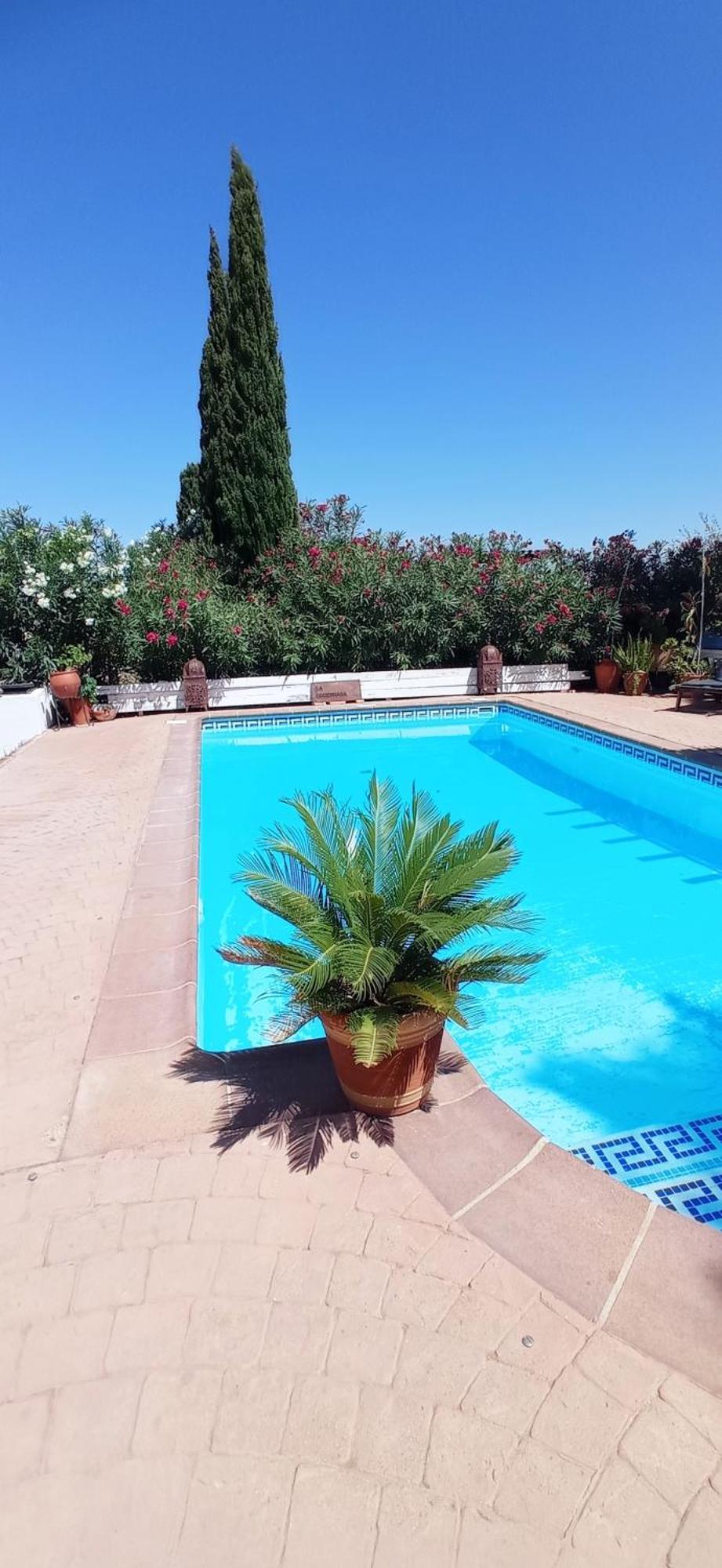 La Luciernaga Guest House Chiclana de la Frontera Exterior photo